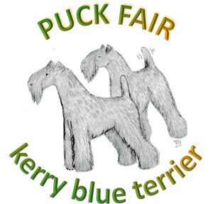 Puck Fair logotyp lu