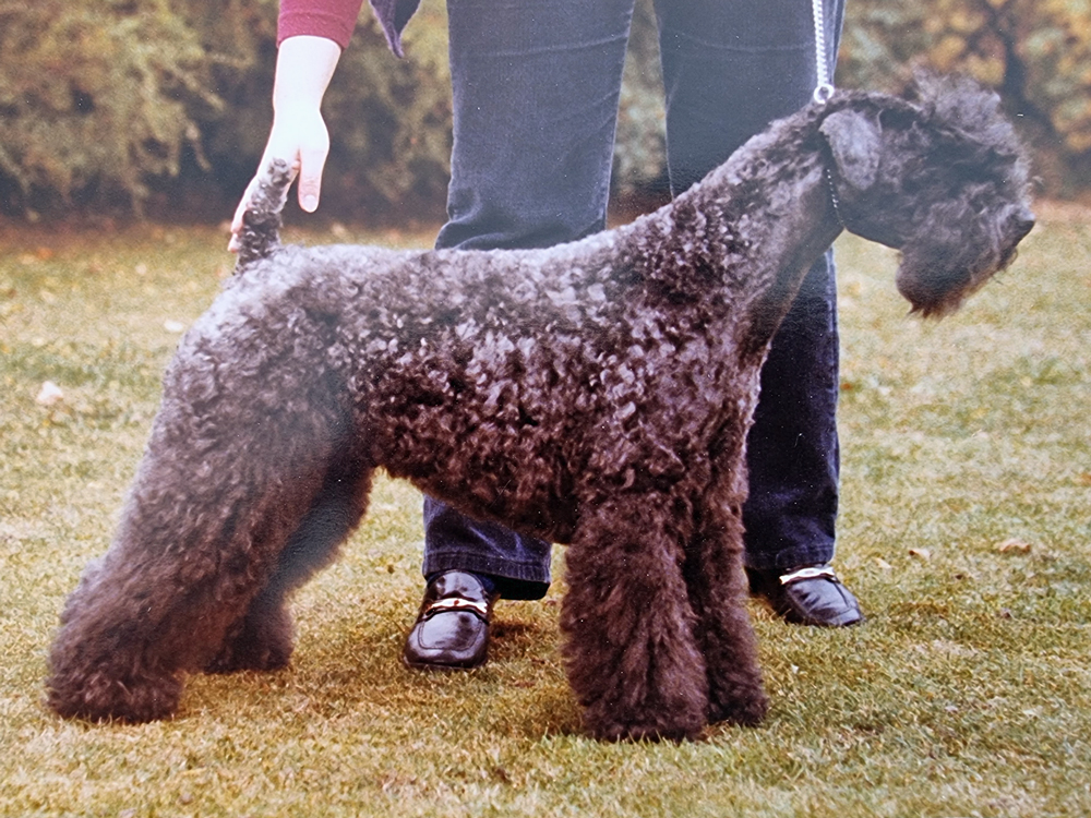 Lochlannaigh Dinah lu