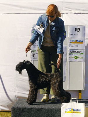 Kerstin BIG i Veberöd 2025 08 24 lu