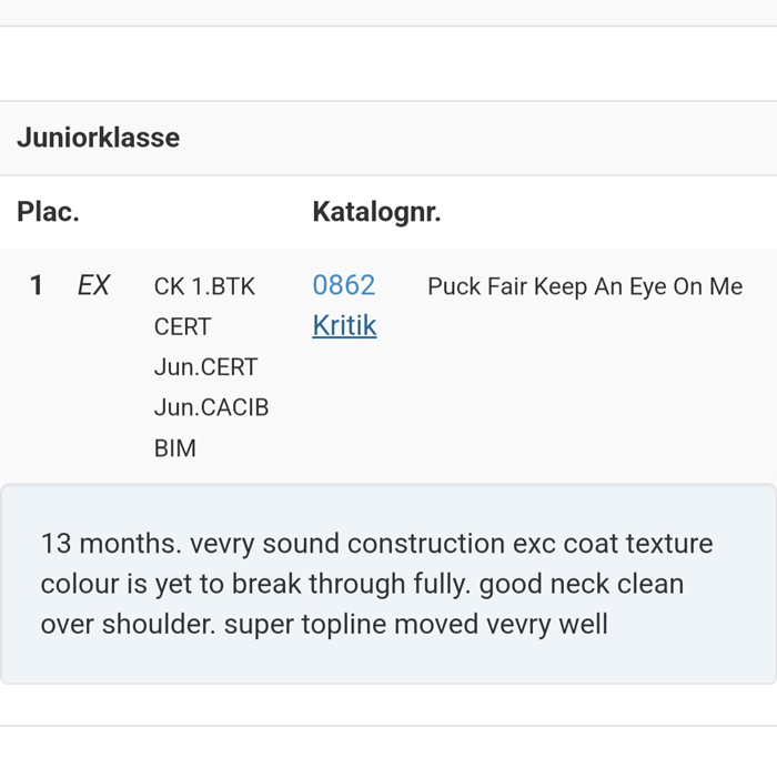 Kerstin kritik 2025 05 12