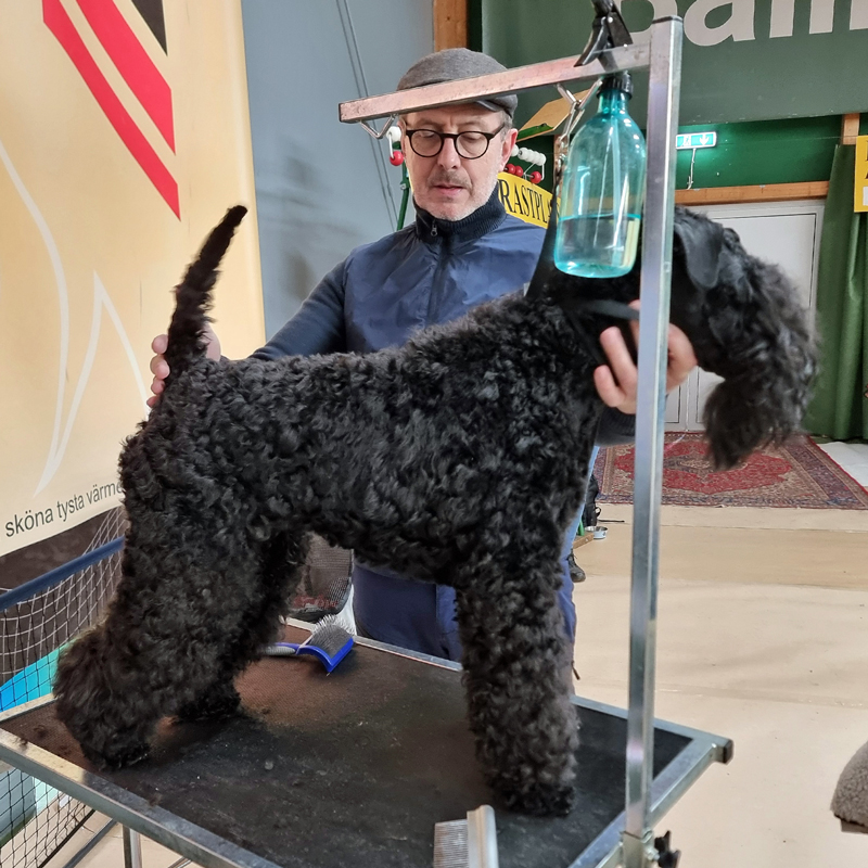 Sixten och Thor Eirik lu