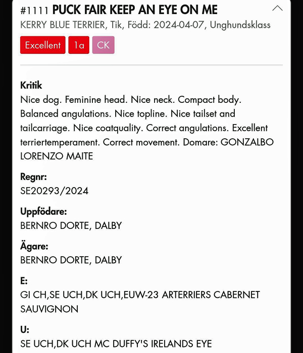 Tomelilla 2025 09 24 Kritik Kerstin