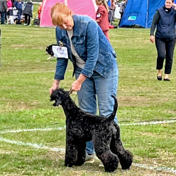 Tomelilla 2025 09 24 foto Kerstin