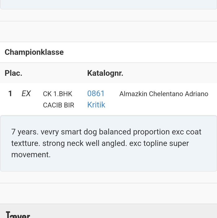 Zorro kritik 2025 05 12