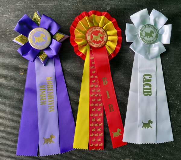 roskilde 2025 09 21 1