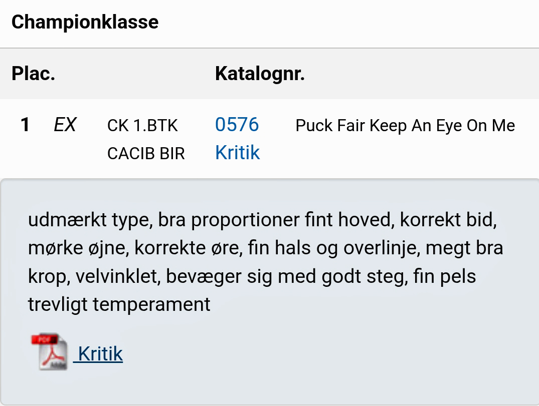 2026 08 14 Kritik